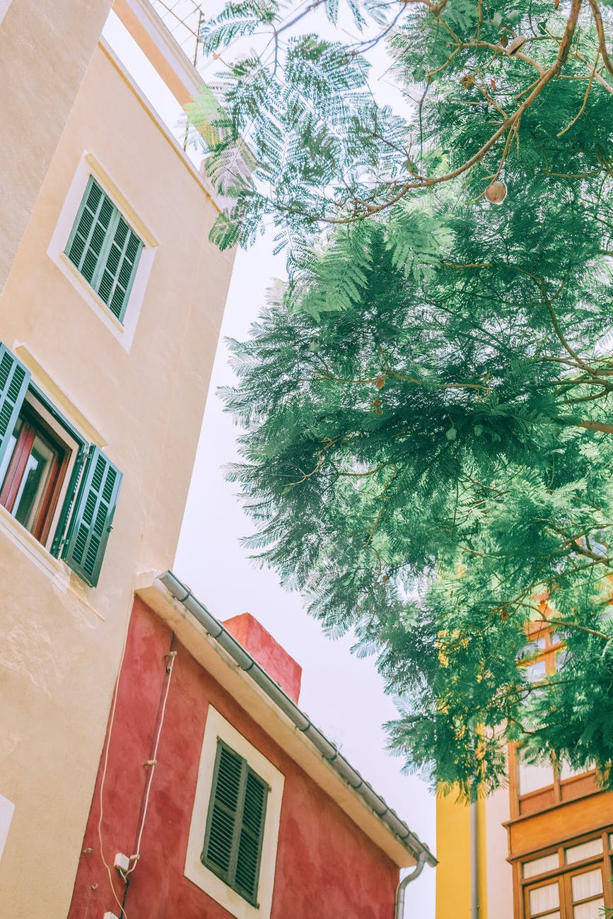 facade of aged stylish multicolored buildings in city district